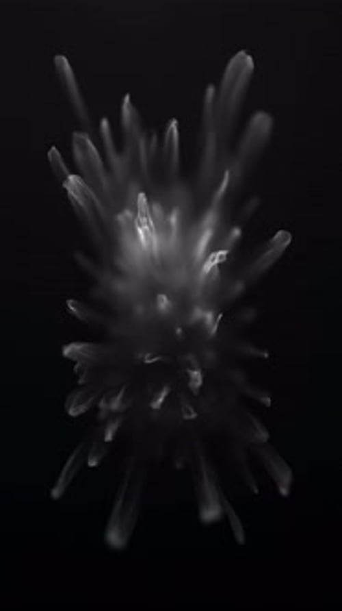 Éclat énergétique abstrait en cristal noir, éclats de verre translucides faisant éruption dans une obscurité profonde, mineur spectral