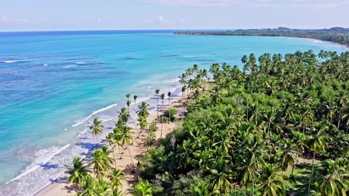 Cinematic aerial shot of tropical island with palm trees, golden beach and crystal clear Caribbean S