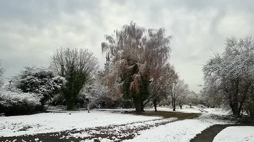 close up view of snow on the road side- Winter weather in forest woodland