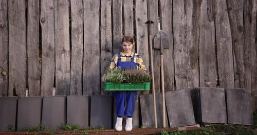 Gardener with Herbs Crate Against Rustic Wooden Background