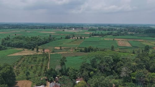 View Of A Lush Green Landscape With Fields