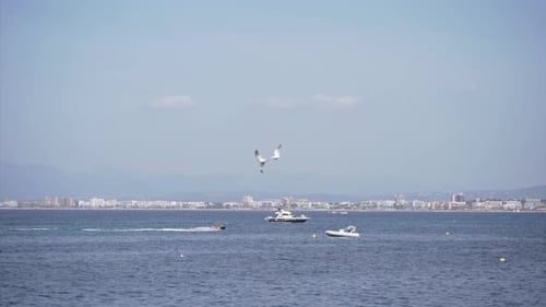 Zwei Möwen fliegen über das Mittelmeer mit zwei Booten im Hintergrund