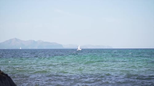 Seagull Flying Over the Blue Water of the Sea Between Rocks