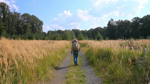 Behind trekking hiker surrounded in by grassy fields on a gravel path on a sunny day