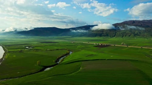 A large, lush green field with a dirt road running through it