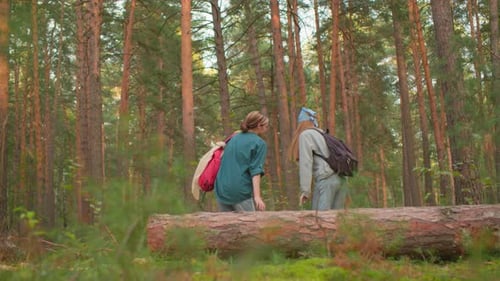 Friends Sharing Joyful Moment on Fallen Tree in Peaceful Forest