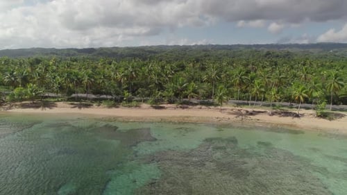 Aerial Tracking of Car Driving by Seaside Road, Las Terrenas, Dominican Republic