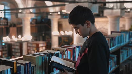 A Bibliophile Boy In The Authentic Library