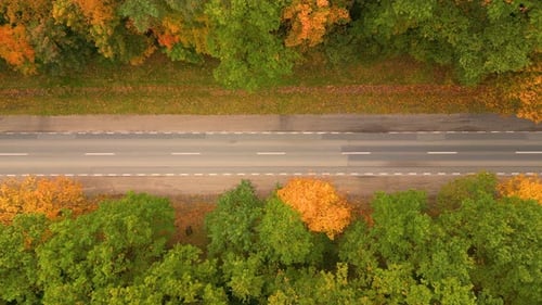 Aerial View Above Road in Forest in Fall With Cars. Aerial Top View Over Straight Road With Cars in