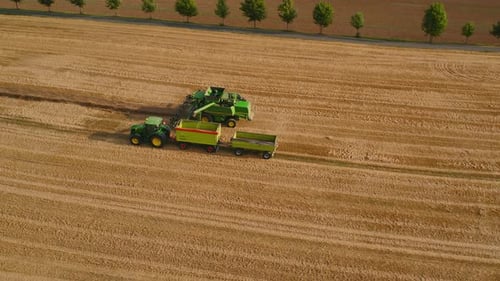 Combine harvester transferring crops into trailers on a wheat field. Tractor towing trailers with ha