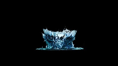 Realistic Water Drop Splash Animation with Alpha Channel