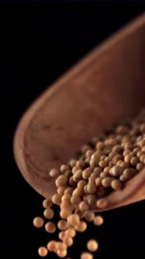 Super Slow Motion From a Wooden Scoop Drops Mustard Filmed on a Highspeed Camera at 1000 Fps