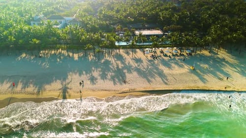 Aerial View of a Tropical Beach with Palm Trees Sunbeds Umbrellas and Tourists Enjoying the