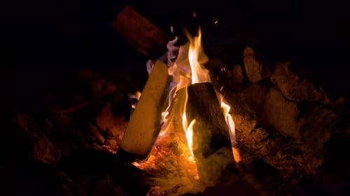 Firewood