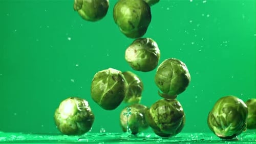 Brussels Sprouts Fall on the Table Filmed on a Highspeed Camera at 1000 Fps