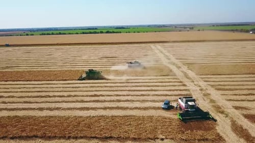 Aerial Drone View Combine Harvesters Working in Soybean Field on Sunset Harvesting Machine Driver