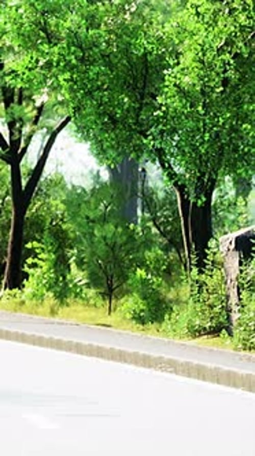 View of Empty Road with Lamp Post and Sunlight