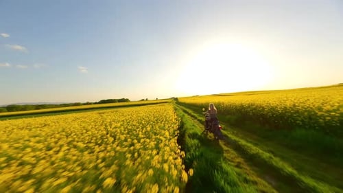 FPV of Woman and Dog Riding a Vintage Motorcycle in the Countryside at Sunset