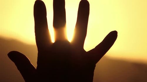 Hand im Gegenlicht schützt vor der Sonne