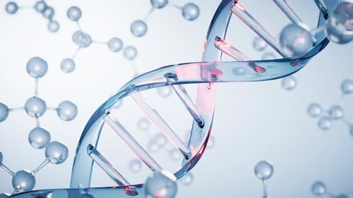 Rotating 3D DNA Double Helix and Molecular Structure Animation