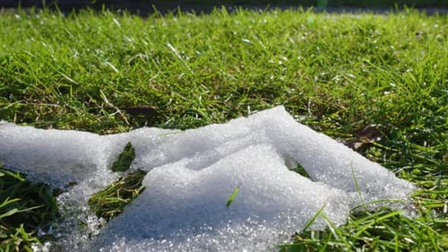 shot of shiny melting snow particles with green grass and leaves. Change of season from winter to sp
