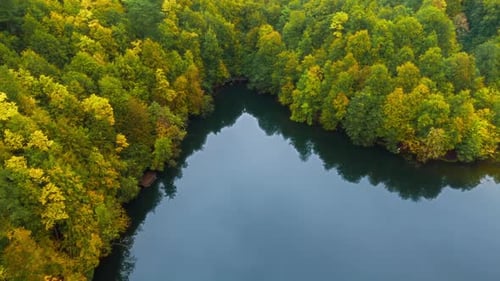 Aerial View of Lake Surrounded by Lush Trees