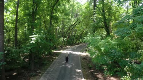 Muslim girl walking at forest alone