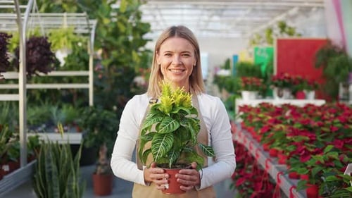 Woman Holds Potted Plant in Greenhouse
