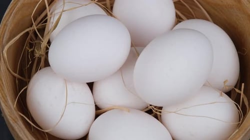 white egg rotating