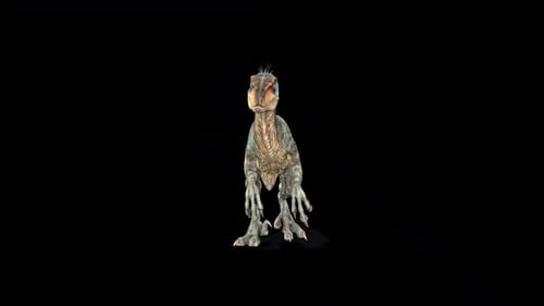 Wild Velociraptor Dinosaur Front 2