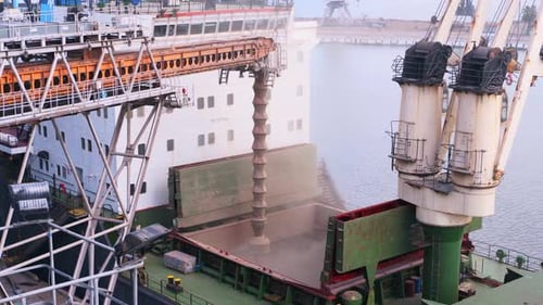 Wheat Loading to Bulker Ship Cargo Container at Sea Grain Terminal in Seaport Grain Shipment From