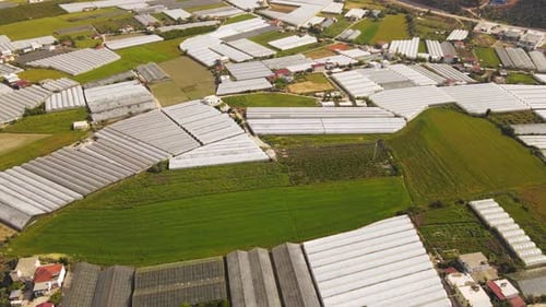 Greenhouse Complex to Grow Fruits and Vegetables