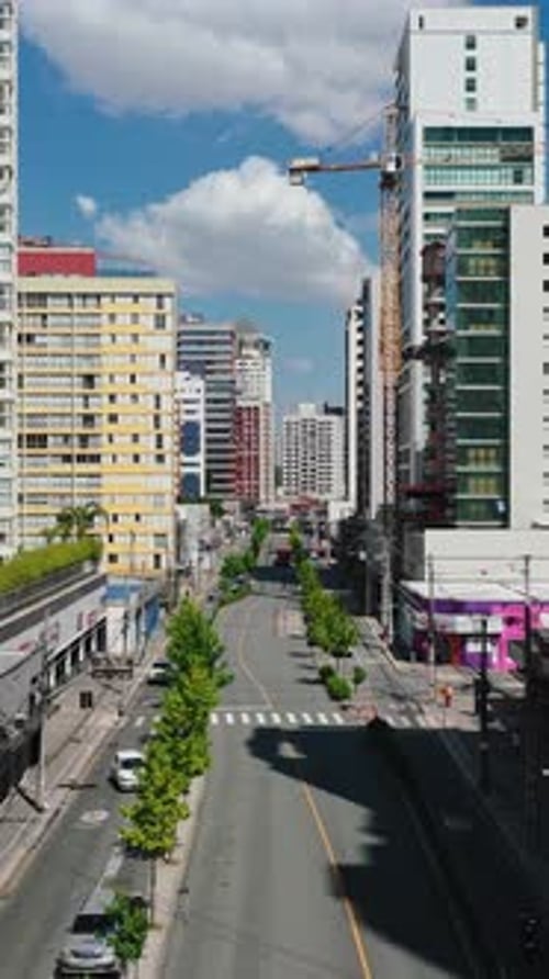 Urban forest in Curitiba meeting the modern Curitiba city horizon in Parana