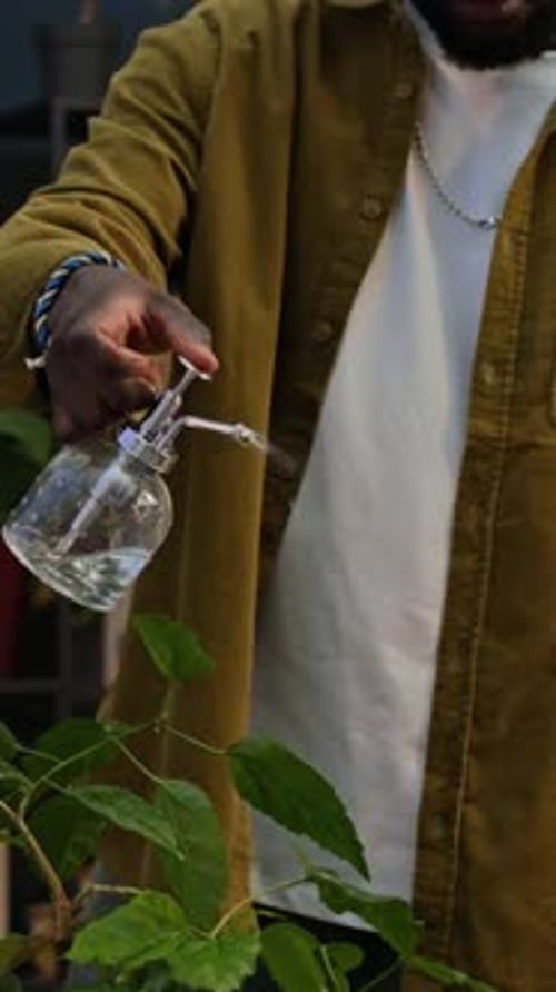 Person Watering Plant Inside a Home