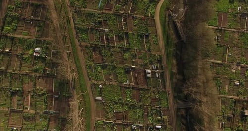 Community garden in the City Top View
