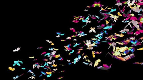 Vibrant Butterfly Swarm Flying Transition