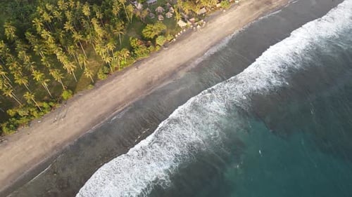 Aerial View of a Tropical Beach and Ocean