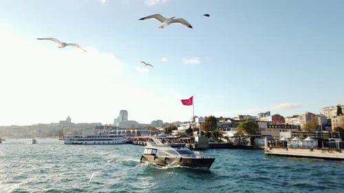 Möwen vor einer Luxusyacht am Bosporus im sonnigen Istanbul