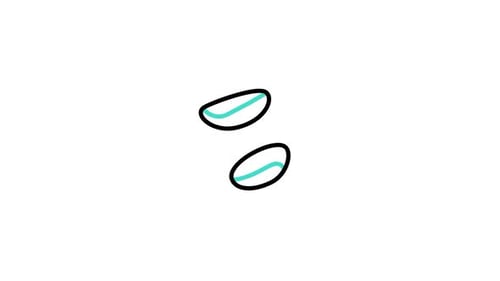 Braziliannut Animated Icon
