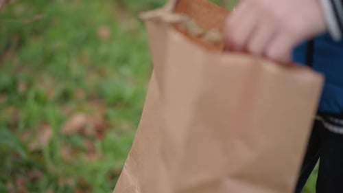 Primer plano de un niño colocando una hoja en una bolsa de papel en un entorno natural al aire libre