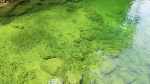 Mountain River Stream in Sunny Summer Day