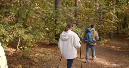 Group of Friends Hiking Together in Autumn Forest