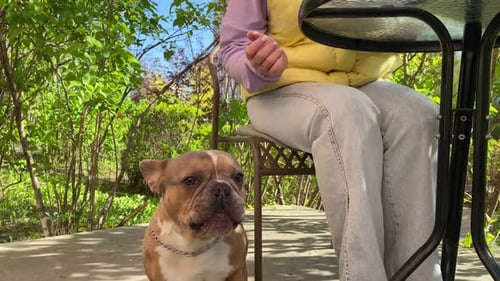 Charming woman shares food with dog while working at cafe outdoors