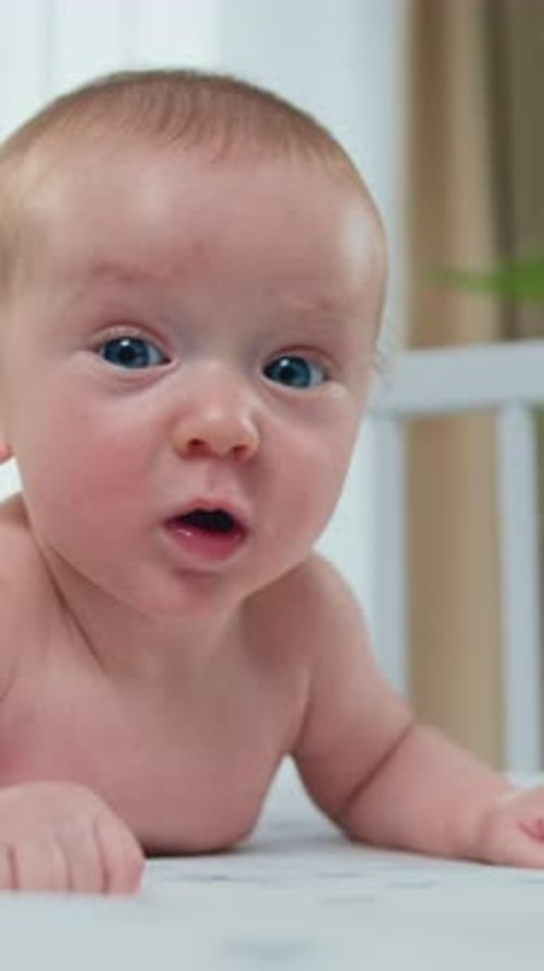 Adorable Infant Lying on Stomach