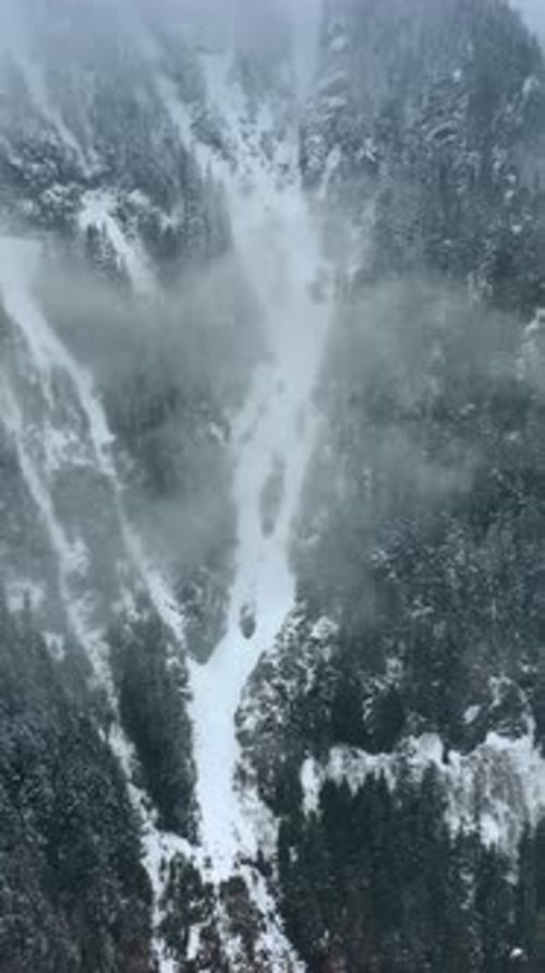 Aerial view of forest in mountains. Mountain road in forest. Vertical video