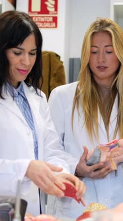 Young Adults Study Medical Models in the Lab