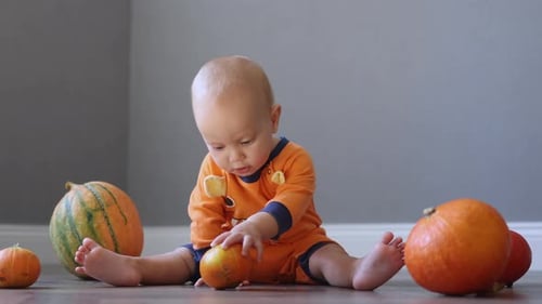 Adorable Baby Playing with Pumpkins Indoors