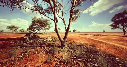 Vast Desert Landscape with Trees Motion Background