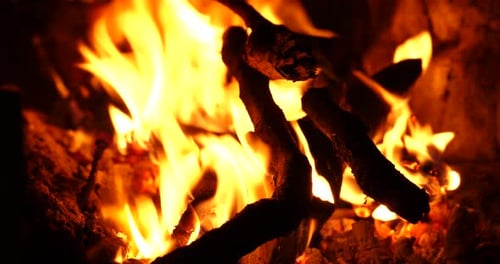 Warm Flames Burning Wood in Fireplace at Home