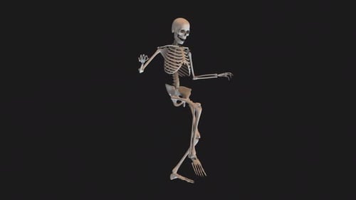 Circuito ciclista Skeleton Creeping Walk 02